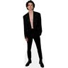 Celebrity Cutouts Timothée Chalamet (Topless) Levensgrote Knipsels