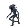 Generic NECA Reel Toys Aliens Arachnoid Alien 22,9 cm figuur 2021