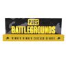 NEAMEDIA THE CHARACTER COMPANY PUBG: Battlegrounds The Official Light…