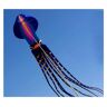 MUHM Vliegers inktvis hanger vlieger 10m/35m 3d sucker inktvis stunt vlieger (kleur: C, maat: 35m 3d sucker inktvis)