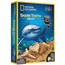 National Geographic RTNGSHARKINT Shark Tooth