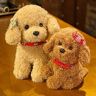 EacTEL Creative simulation teddy auspicious simulation poodle plush toys handmade simulation toys plush toys plush animals 28cm 7