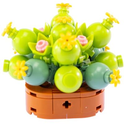 Nice Mattoncini Exotic Plants Bouwset van blokken van de plant Conophytum Code 78042 Nice Mattoncini Exotic Plants Bouwset van blokken van de plant Conophytum Code 78042