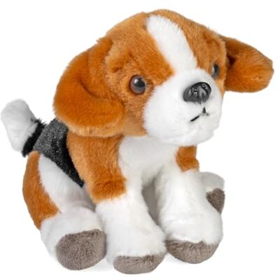 WILD REPUBLIC Pocketkins Eco Beagle, gevuld dier, 12,7 cm, pluche speelgoed, gemaakt van gerecyclede materialen, milieuvriendelijk WILD REPUBLIC Pocketkins Eco Beagle, gevuld dier, 12,7 cm, pluche speelgoed, gemaakt van gerecyclede materialen, milieuvriendelijk
