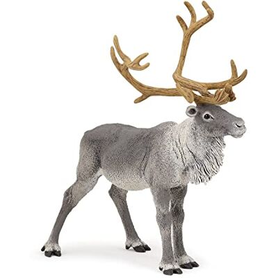 Papo -Handgeschilderde Figuurtjes -Wild Dierenrijk -Rendier-50117-Verzamelbaar-Voor kinderen Geschikt voor jongens en meisjes Vanaf 3 jaar Papo -Handgeschilderde Figuurtjes -Wild Dierenrijk -Rendier-50117-Verzamelbaar-Voor kinderen Geschikt voor jongens en meisjes Vanaf 3 jaar