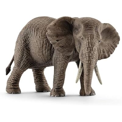Schleich WILD LIFE Afrikaanse olifant koe, vanaf 3 jaar, 14761 Speelfiguur, 8 x 15 x 9 cm Schleich WILD LIFE Afrikaanse olifant koe, vanaf 3 jaar, 14761 Speelfiguur, 8 x 15 x 9 cm