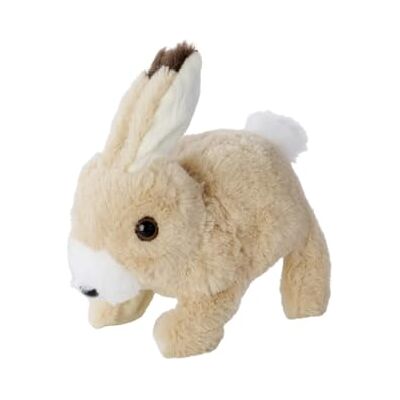 SIMBA PetZoo BunBun SIMBA PetZoo BunBun