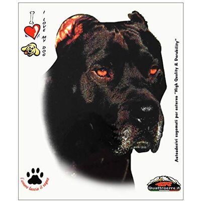 4R Quattroerre.it Quattroerre 8013 tape Cane Corso, 14 x 16 cm 4R Quattroerre.it Quattroerre 8013 tape Cane Corso, 14 x 16 cm