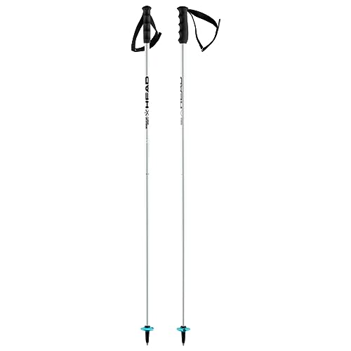 HEAD Unisex Adult Worldcup SL skistokken, wit, 130