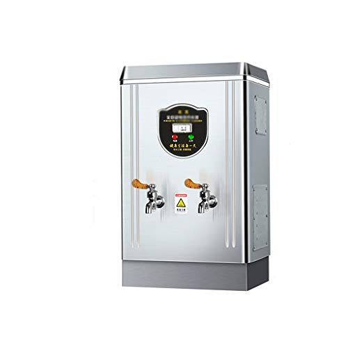 VVHUDA Automatische waterkoker, 60 l/h per uur, anti-uitdroging en stroomuitval, dubbele koel- en warmwaterketel (6000 W), klein cadeau