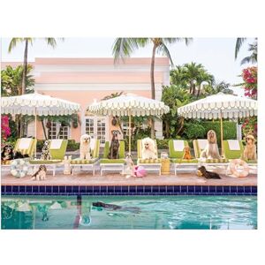 Galison Gray Malin Palm Beach 1000 Piece Book Box Puzzle Galison Gray Malin Palm Beach 1000 Piece Book Box Puzzle