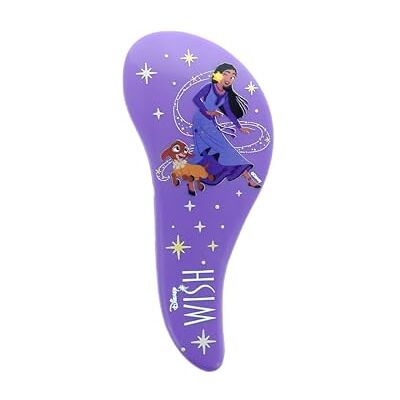 Disney WISH Ontwarrende borstel, klein, officieel product Disney WISH Ontwarrende borstel, klein, officieel product