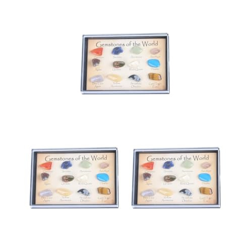 Adoorniequea 3 set Rock & Mineral Collection Geologie Wetenschap Kit Aarde Wetenschap Speelgoed Pack van 15