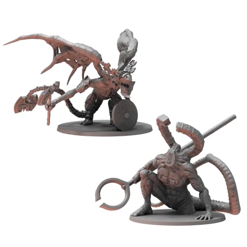 Steamforged Games Dark Souls Het rollenspel: Titaniet & Stenen Miniaturen & Stat Kaarten. DnD, RPG, D & D, Kerkers & Draken. 5E Compatibel