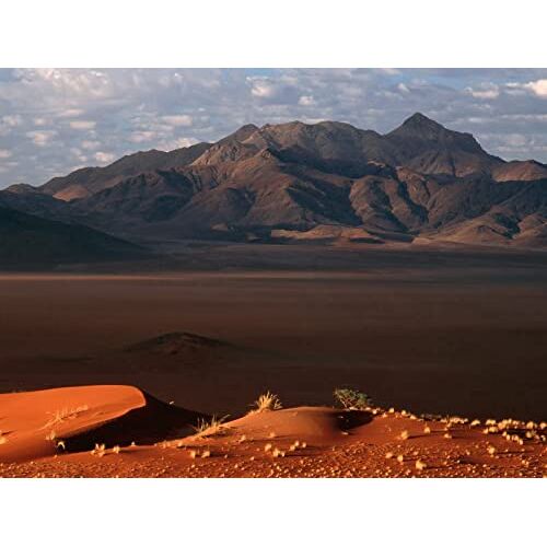 FRUKAT Legpuzzel met 500 stukjes voor Volwassenen-Namibië, woestijn, zand, 52x38cm