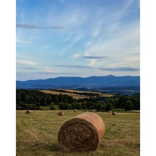 FRUKAT Puzzel met 500 stukjes,puzzel voor volwassenen en kinderen vanaf 12 jaar-Hooi, veld, gras 52x38cm