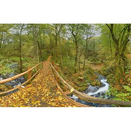 GUOHLOZ Puzzle 500 stukjes, puzzel voor volwassenen en kinderen vanaf 6 jaar, landschapspuzzel, Bomen, Park, Duitsland, Rijnland-Palts, Leienkaul, 52x38cm