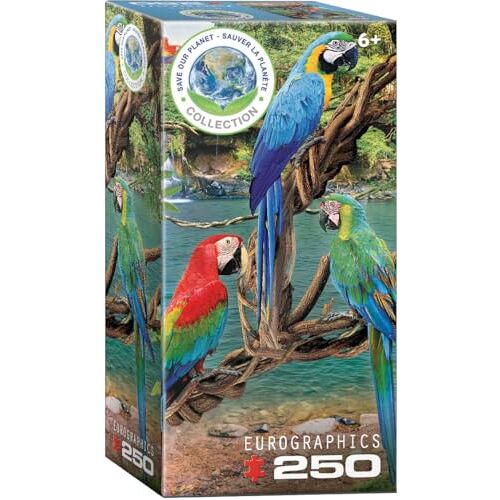 EuroGraphics Macaws