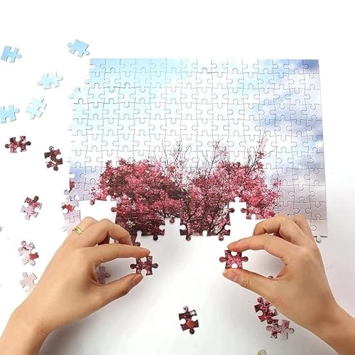 MyGANN Kleurrijke puzzels 1000 puzzels anime scènes grote puzzels puzzels landschappen stad vrouwen puzzels mannen puzzels