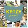 klein & gro Verlag Katze gesucht!: Das Memo-Spiel für Samtpfoten-Fans