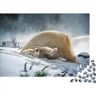 SCOOVY Wildlife Puzzles for Adults,Jigsaw Puzzles for Adults,Jigsaw Puzzle for Teens & Adults Jigsaw Puzzles for Adults 300pcs (40x28cm)