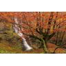 GUOHLOZ 1000 Piece Jigsaw Puzzle for Adults & Kids Age 8 Years Up Bomen, Waterval, Spanje, Baskenland, Uguna Waterval, Gorbea Natuurpark, 75x50cm