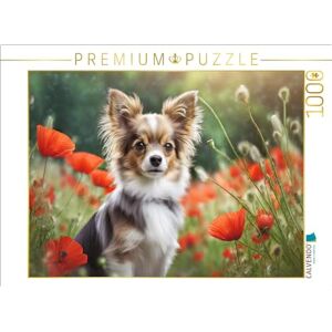 CALVENDO Puzzel A bruin-witte chihuahua zit in een klaprozen veld legformaat cm fotopuzzel voor gelukkige uren CALVENDO Puzzel A bruin-witte chihuahua zit in een klaprozen veld legformaat cm fotopuzzel voor gelukkige uren