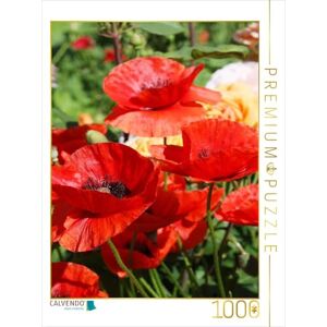CALVENDO Puzzel Rode Klaprozen in de tuin 1000 stukjes legformaat 64 x 48 cm fotopuzzel voor gelukkige uren CALVENDO Puzzel Rode Klaprozen in de tuin 1000 stukjes legformaat 64 x 48 cm fotopuzzel voor gelukkige uren