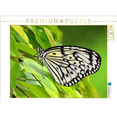 CALVENDO Puzzel Witte boomnymf, 1000 stukjes, legformaat 64 x 48 cm, fotopuzzel voor gelukkige uren CALVENDO Puzzel Witte boomnymf, 1000 stukjes, legformaat 64 x 48 cm, fotopuzzel voor gelukkige uren