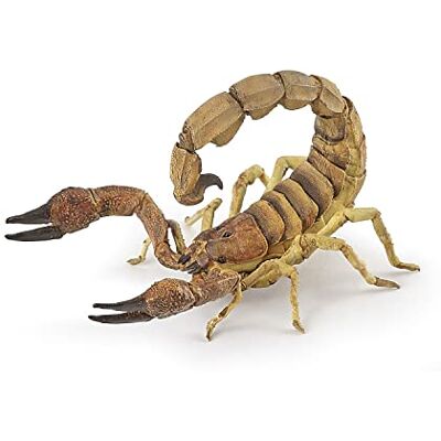 Papo Realistische schorpioenfiguur 3 jaar en ouder Tuindieren collectie Educatief spel insecten Cadeau-idee speelgoed voor meisjes en jongens Papo Realistische schorpioenfiguur 3 jaar en ouder Tuindieren collectie Educatief spel insecten Cadeau-idee speelgoed voor meisjes en jongens