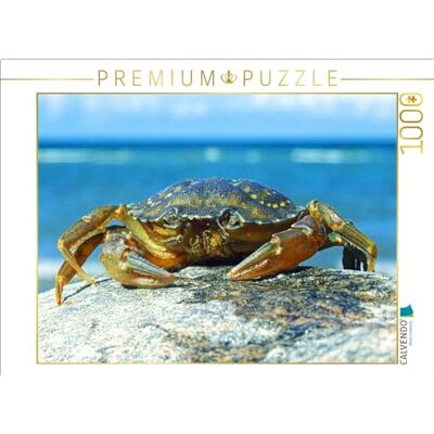 CALVENDO Puzzel Strandkrab 1000 stukjes legformaat 64 x 48 cm foto-puzzel voor gelukkige uren CALVENDO Puzzel Strandkrab 1000 stukjes legformaat 64 x 48 cm foto-puzzel voor gelukkige uren
