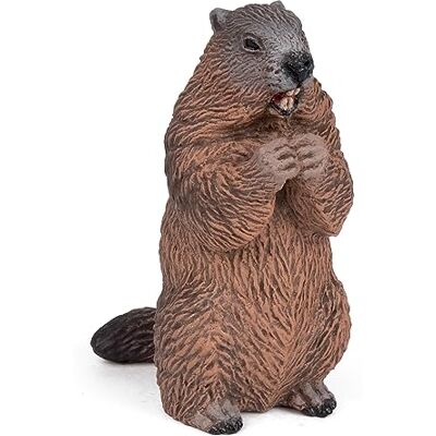 Papo Realistische marmotfiguur 3 jaar en ouder Wilde dieren collectie Educatief spel bergfauna Cadeau-idee speelgoed voor meisjes en jongens Papo Realistische marmotfiguur 3 jaar en ouder Wilde dieren collectie Educatief spel bergfauna Cadeau-idee speelgoed voor meisjes en jongens
