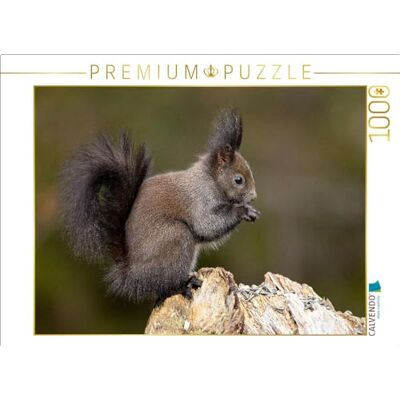 CALVENDO Puzzel EEN motief uit de kalender Oachkatzl legformaat cm fotopuzzel voor gelukkige uren CALVENDO Puzzel EEN motief uit de kalender Oachkatzl legformaat cm fotopuzzel voor gelukkige uren