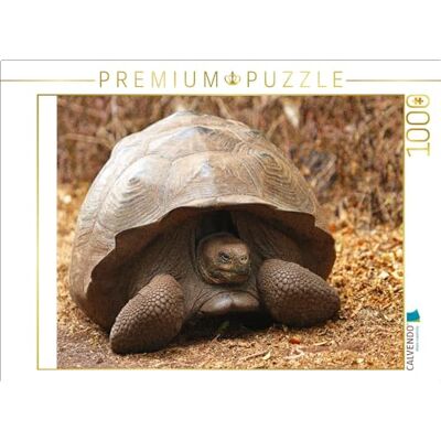 CALVENDO Legpuzzel Galápagos reuzenschildpad legformaat cm fotopuzzel voor gelukkige uren CALVENDO Legpuzzel Galápagos reuzenschildpad legformaat cm fotopuzzel voor gelukkige uren