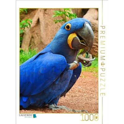 CALVENDO Puzzel speelse hyacint-ara, 1000 stukjes, legformaat 64 x 48 cm, fotopuzzel voor gelukkige uren CALVENDO Puzzel speelse hyacint-ara, 1000 stukjes, legformaat 64 x 48 cm, fotopuzzel voor gelukkige uren