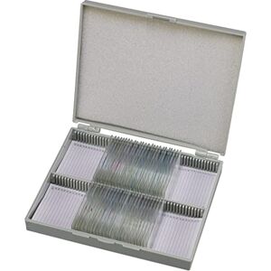 BRESSER Microscoop preparaten 30 stuks Mens BRESSER Microscoop preparaten 30 stuks Mens