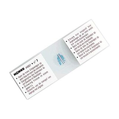 Konus Voorbereiding van menselijke weefselset – 1 (10 stuks) Konus Voorbereiding van menselijke weefselset – 1 (10 stuks)