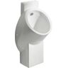 Geberit Centaurus urinal, hybrid operation, with inlet from rear, outlet to rear or bottom 236450600