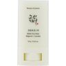 Beauty of Joseon Matte Sun Stick Mugwort + Camelia SPF 50+ PA++++ (18 g)