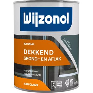 Wijzonol Grachtengroen Vochtregulerende Buitenverf - Verf Wijzonol Grachtengroen Vochtregulerende Buitenverf - Verf