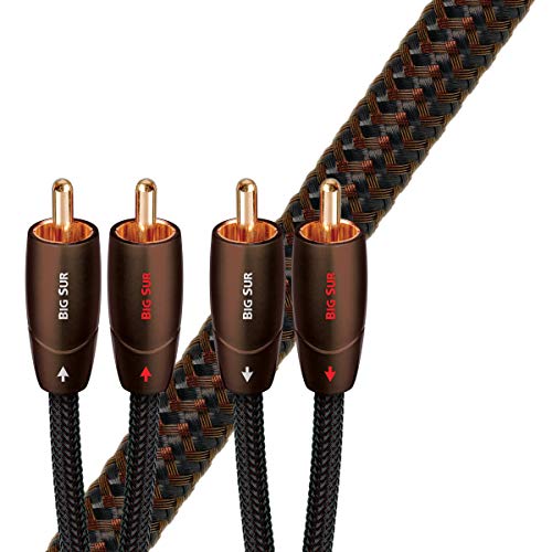 AudioQuest Big Sur RCA audiokabel 0,6 m 2 x RCA zwart audiokabel (2 x RCA, 2 x RCA, koper, 0,6 m, zwart)