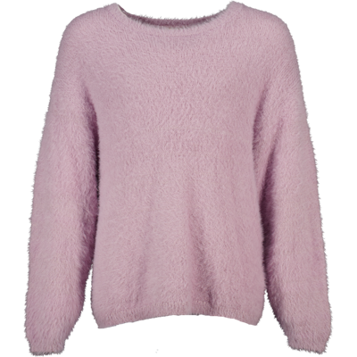 Zeeman Sweater - Paars 146/152 Zeeman Sweater - Paars 146/152
