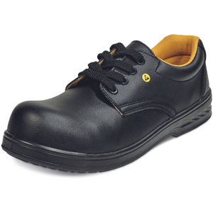 CERVA 02010367 RAVEN ESD O1 SRC laag CERVA 02010367 RAVEN ESD O1 SRC laag