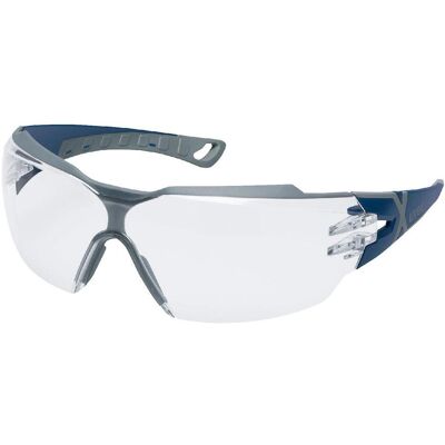 uvex pheos cx2 9198-257 veiligheidsbril uvex pheos cx2 9198-257 veiligheidsbril