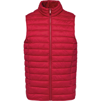 Native Spirit NS6005 Ecologische lichte bodywarmer voor heren Native Spirit NS6005 Ecologische lichte bodywarmer voor heren