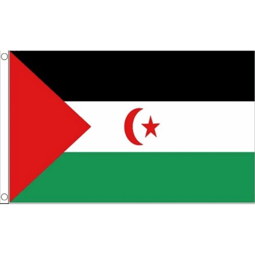 Vlaggenclub.nl Vlag Westelijke Sahara 90x150cm Best Value
