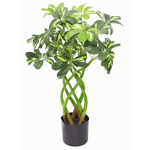 Leaf Kunstplant, 70 cm, Bonsai Twist -7002, 70 cm Bonsai Twist, 70 cm Bonsai Twist