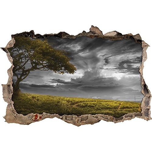 Pixxprint 3D_WD_5188_92x62 Alleen staande boom muurdoorbraak 3D muursticker, vinyl, zwart/wit, 92 x 62 x 0,02 cm