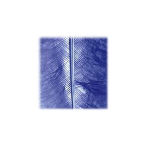 HOBERG efco Marabuveer 100-120 mm 2 g ~ 20 st. Blauw, veren, 12 x 5 x 2 cm