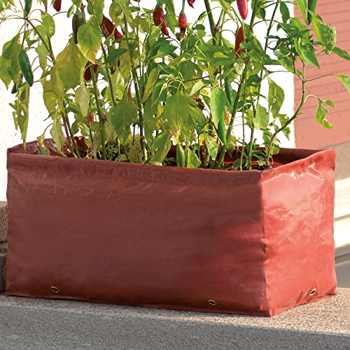 Tenax Grow Grow 25 x 25 x 50 cm, rood, 2 opbergdozen voor groenten en casalingo-groenten